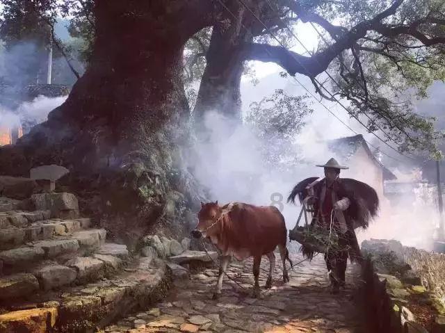 文明：太空
