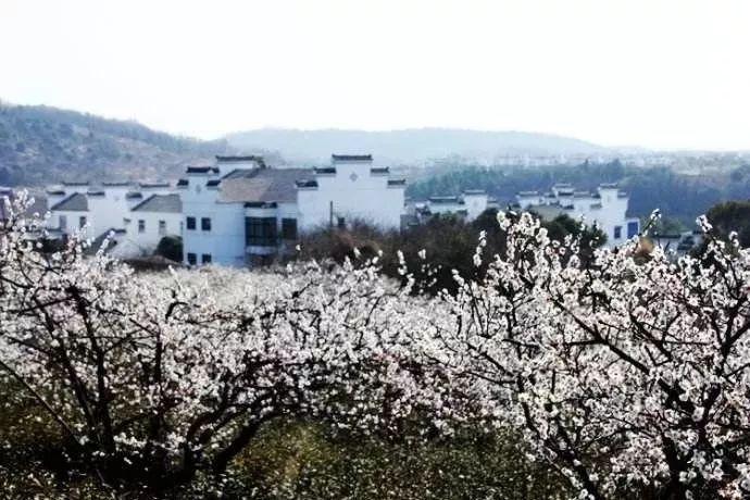 小企鹅逃生