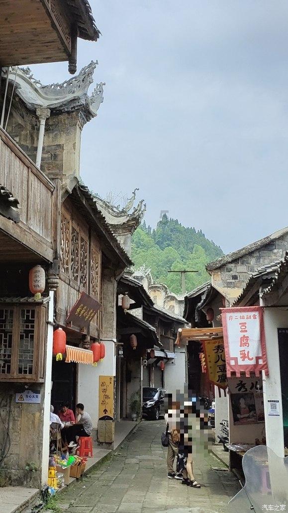 射击红色鸟